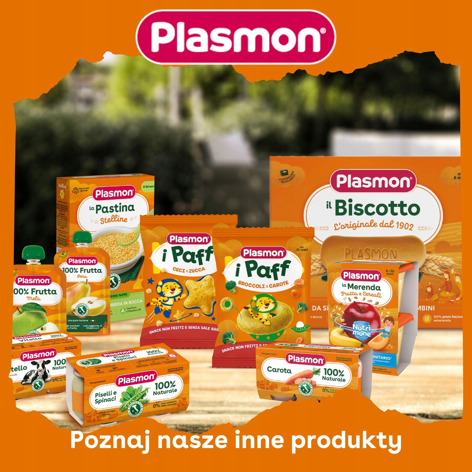 PLASMON Obiadek Łosoś z ziemniakami 2x80g Gramatura 160 g