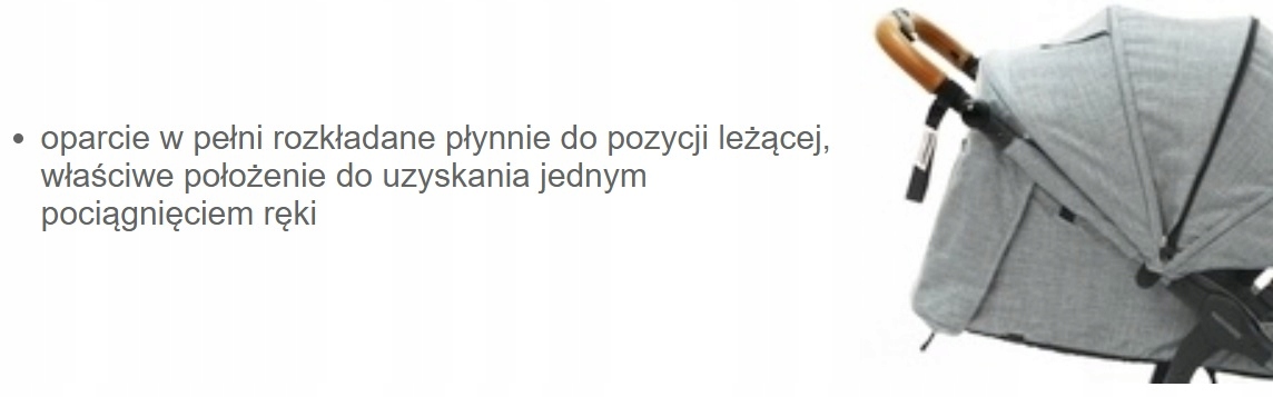 Valco Baby Snap 4 Trend Sport V2 | Ash Black Model Snap 4 Trend Sport