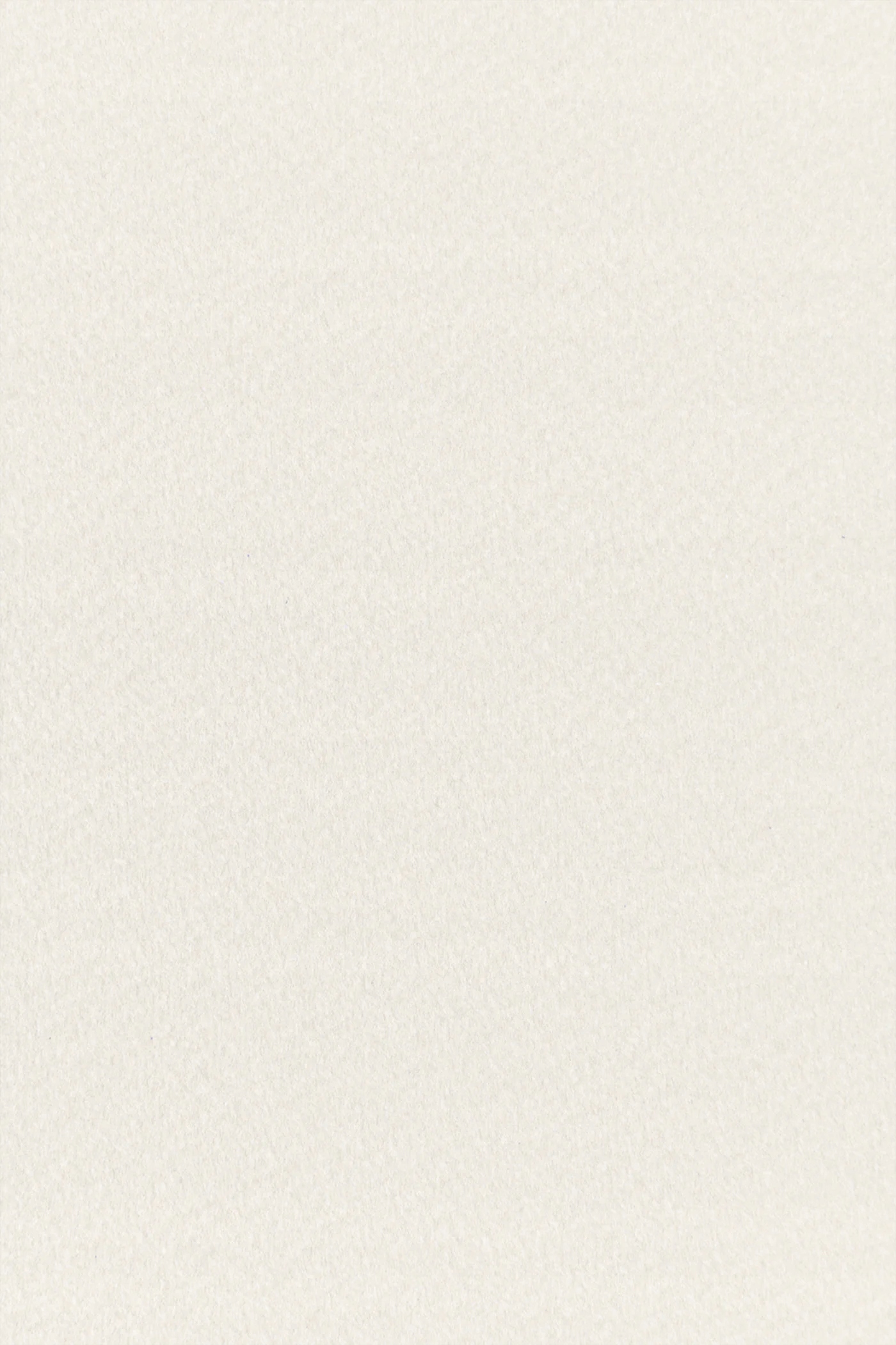 

Papier Tintoretto 250g Neve ecru 10A4