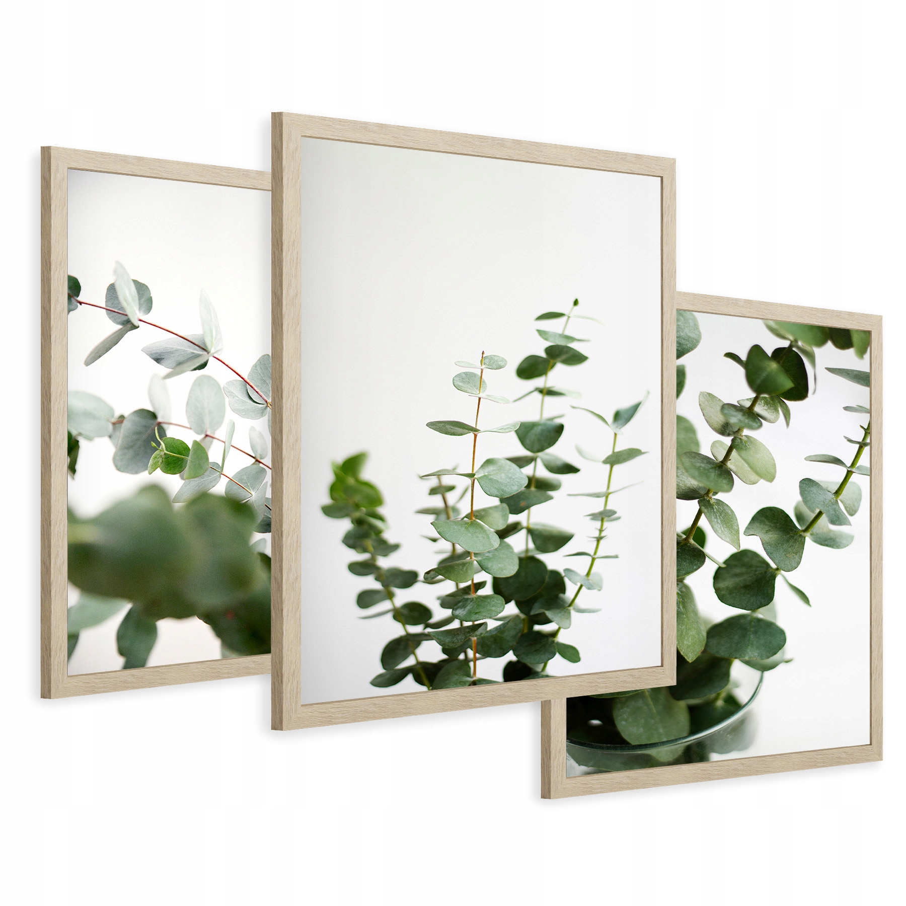 Zestaw Obrazy w ramie plakaty eukaliptus zielone liście tryptyk 43x99