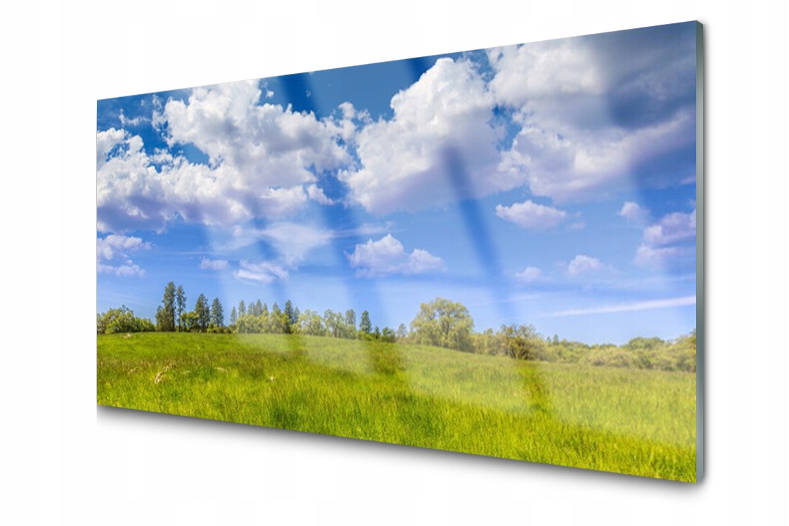 

Panel szklany Płytka Łąka Trawa Niebo 140x70