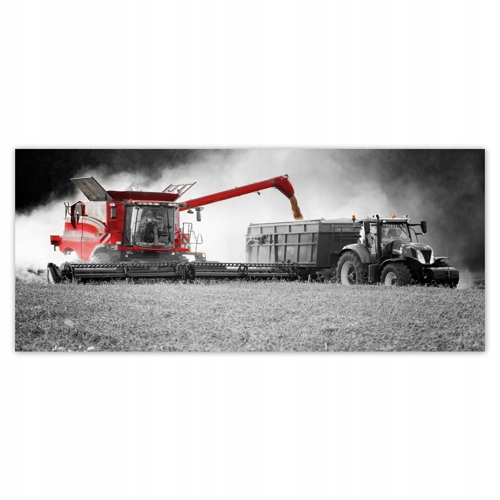 

Fototapety flizelina 211x91 Czerwony Kombajn