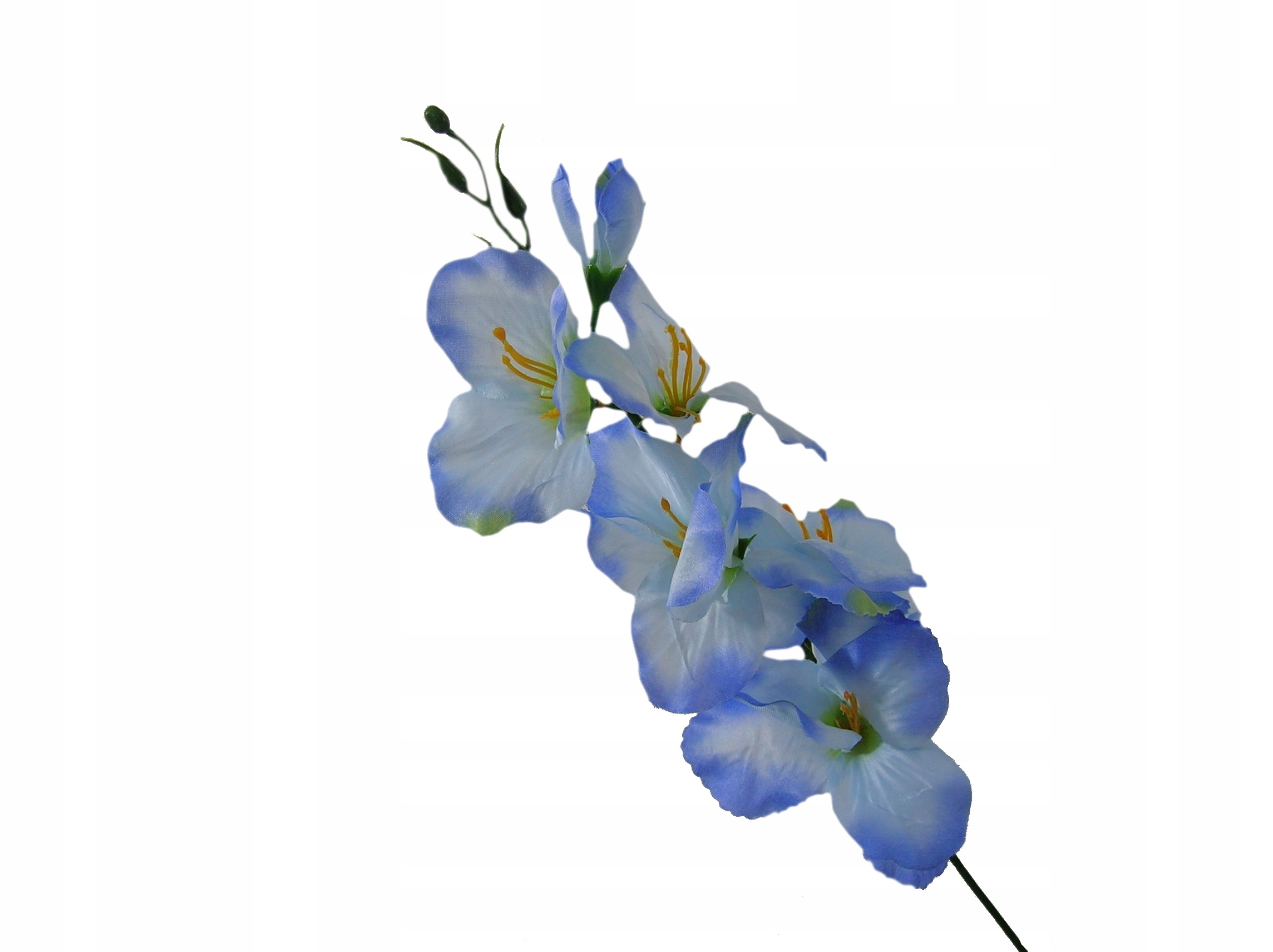 

Sztuczne Mieczyki Gałązka Błękitny Mieczyk