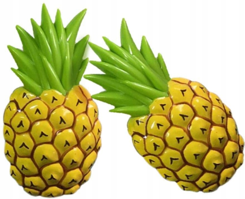 

Spinacze Klamerki Klipsy Do Ręczników Plażowych