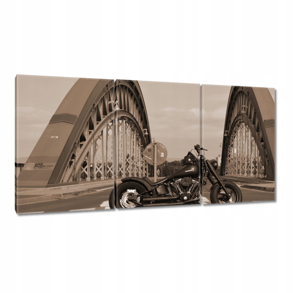 

Obrazy 120x60 Harley Davidson Motocykl