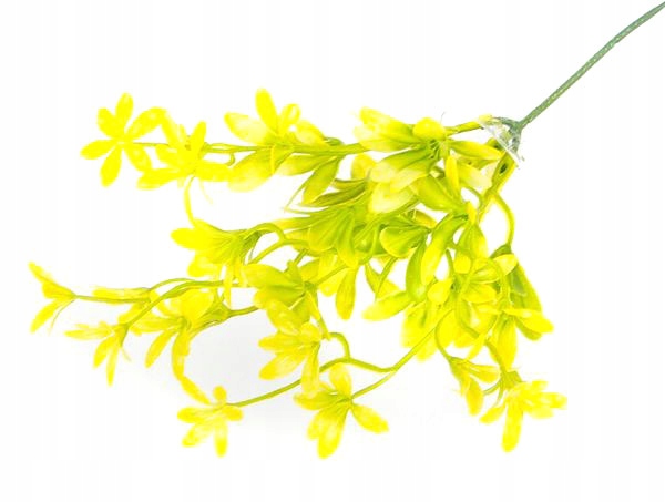 

Trawa Bukiet Trawka kwitnąca x 5 Yellow