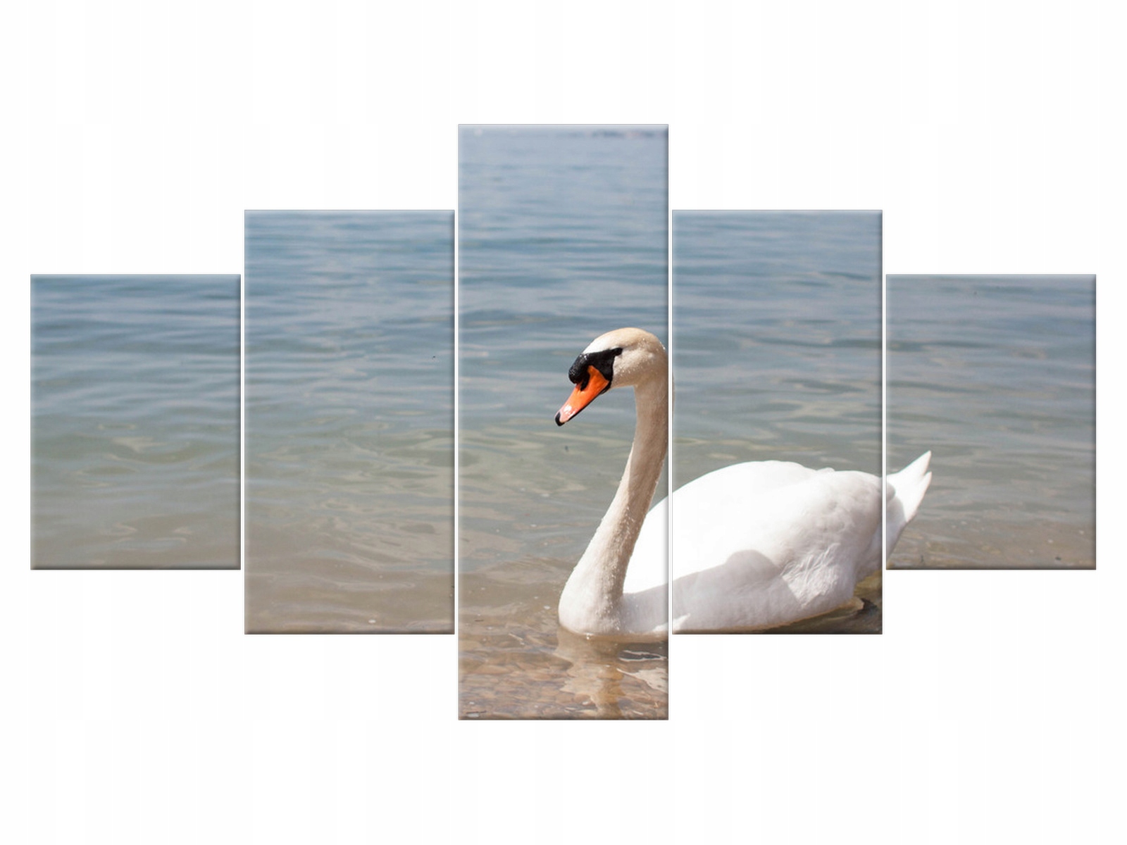 

Obraz 125x70 Pejzaż Łabędź Jezioro 5 elementowy