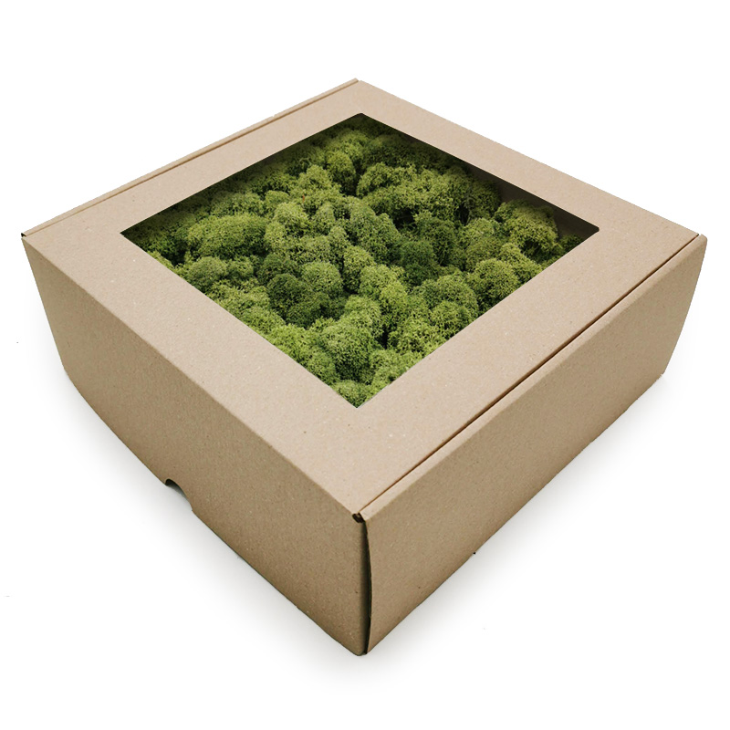 500g MECH CHROBOTEK reniferowy OCZYSZCZONY oliwka