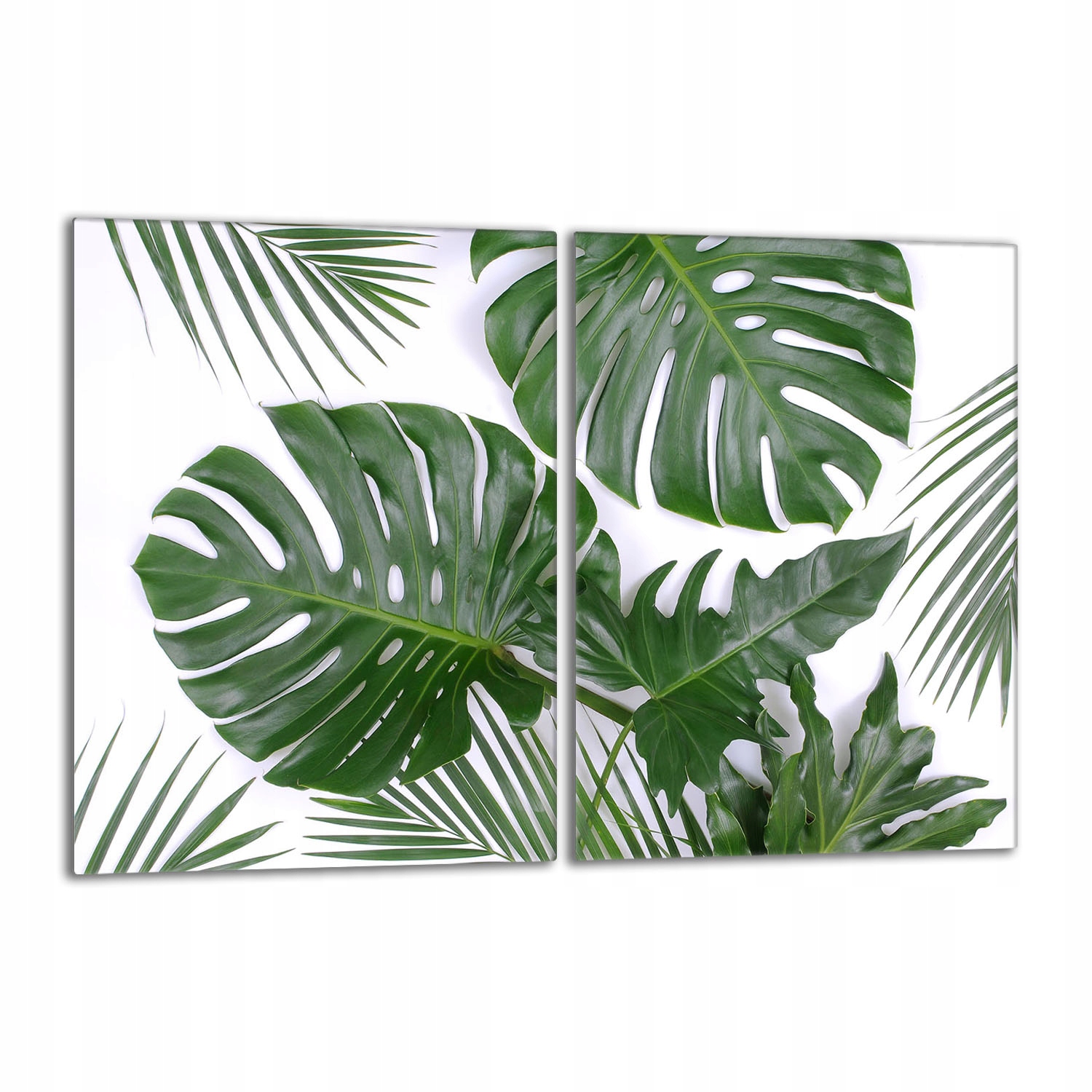 Skleněná ochranná deska na sporák 40x52 Monstera Do Kuchyně