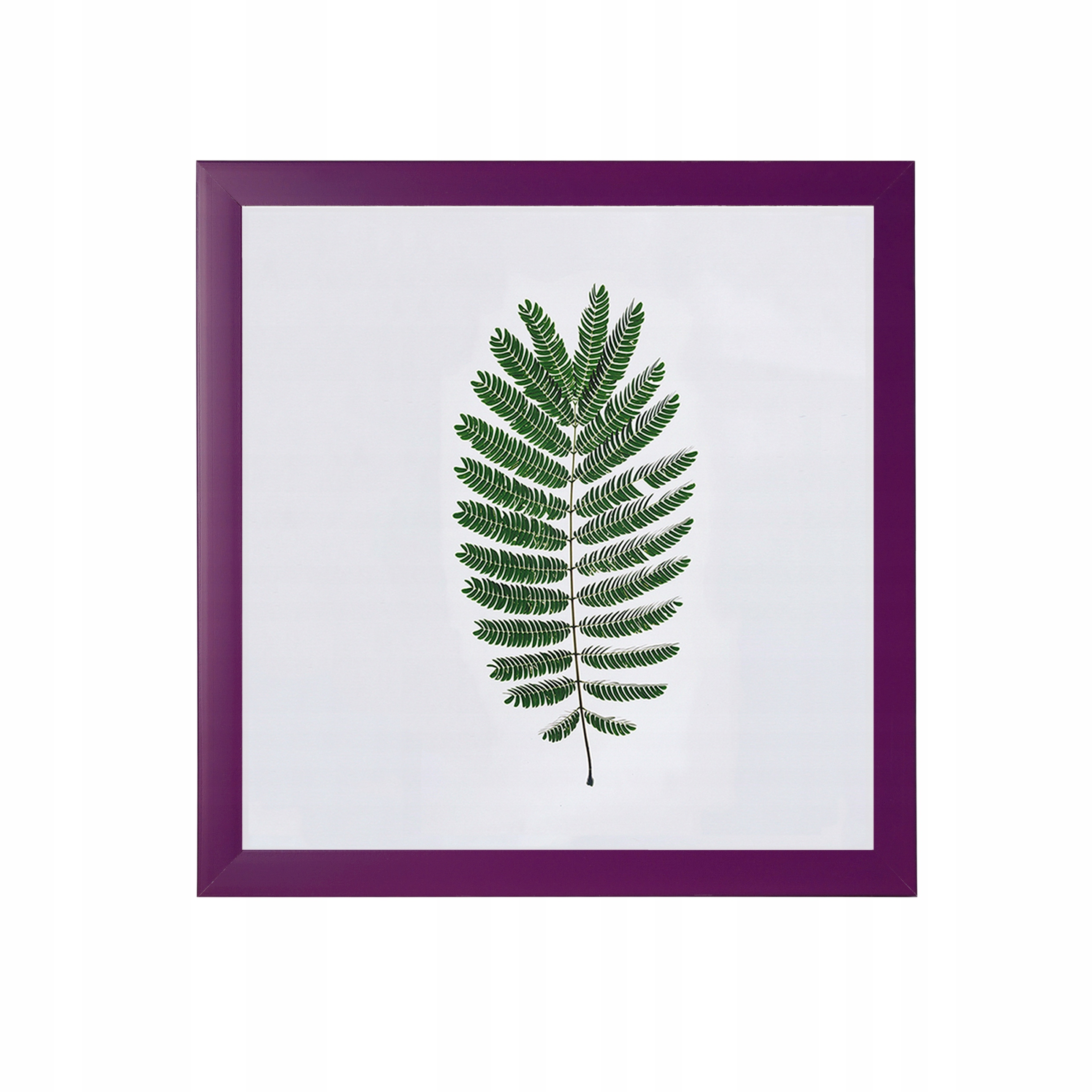 

Ramka na zdjęcia 30x30 Ramki Liliowy wrzos