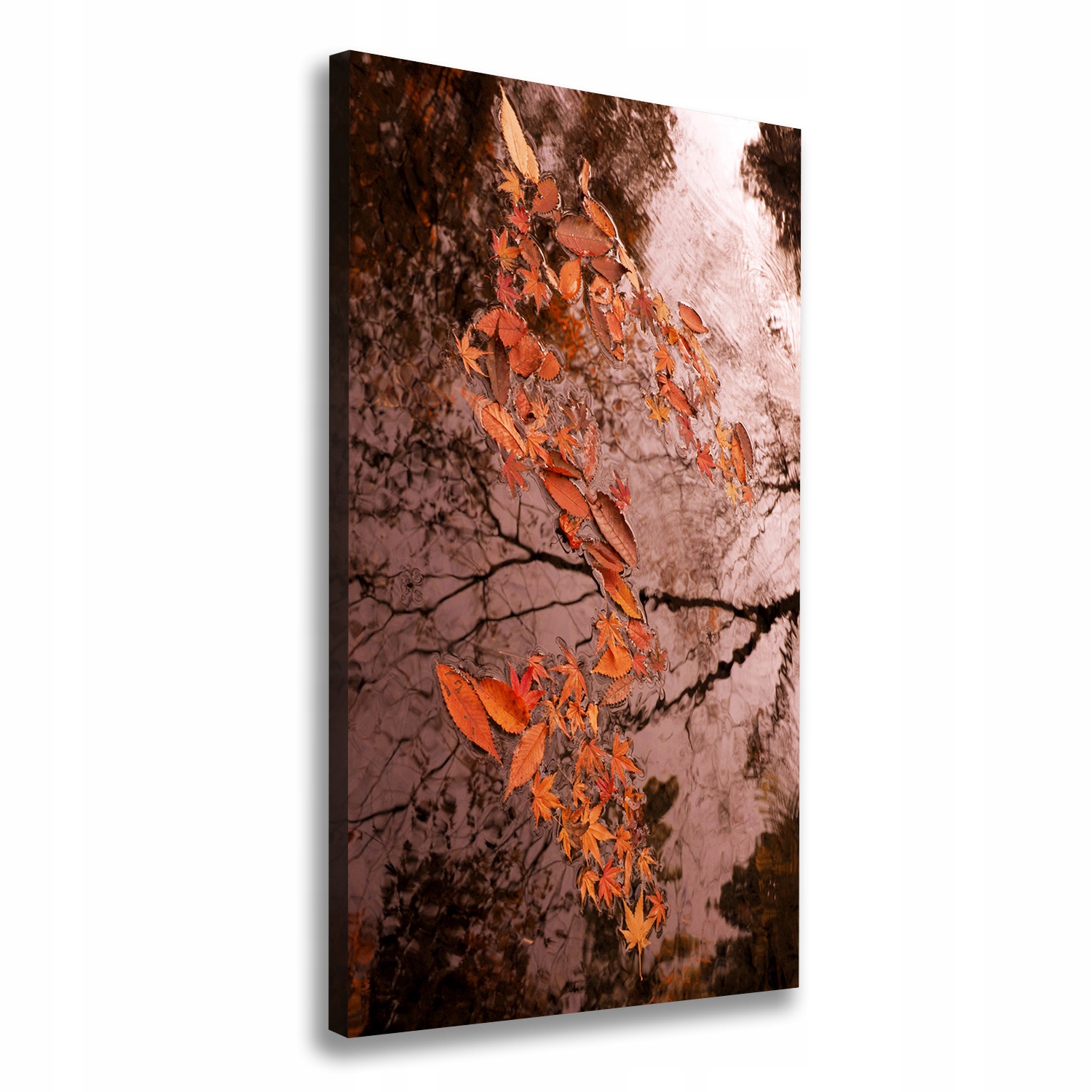 

Foto obraz na płótnie Jesienne liście 60x120 cm