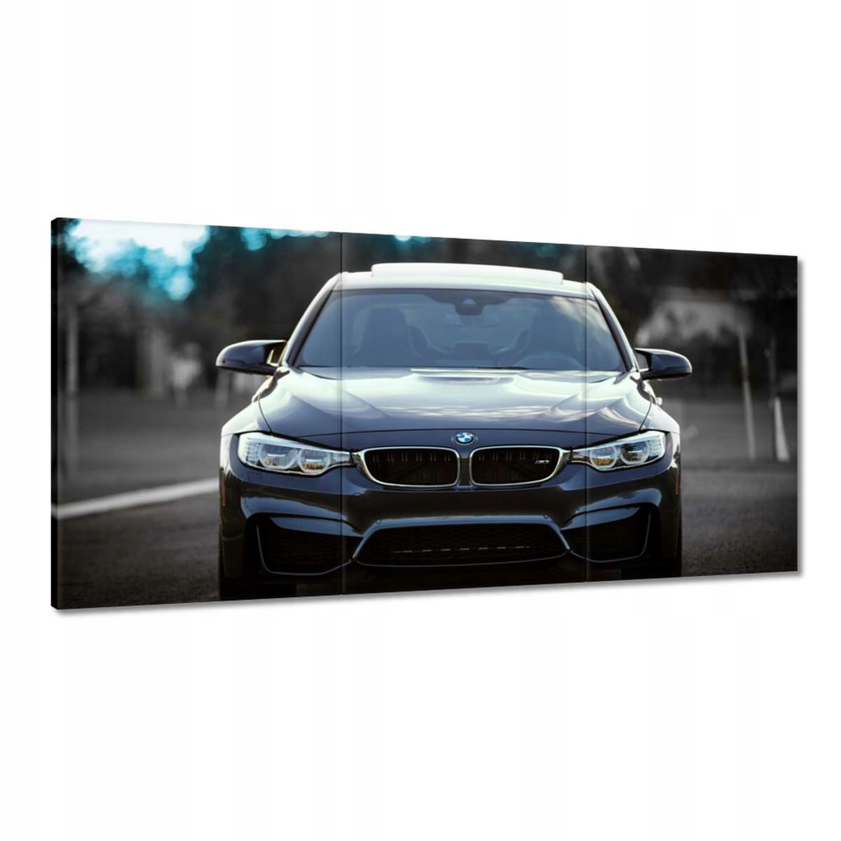 Obrazy 180x90 Bmw M3