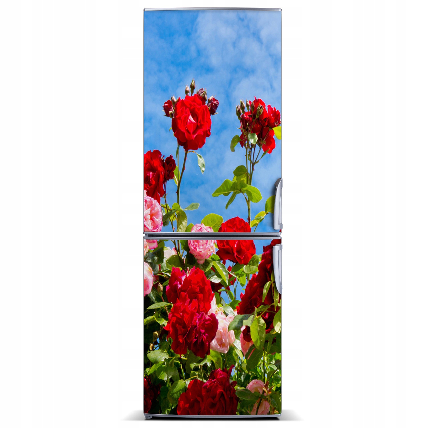 

Mata magnetyczna na lodówkę Dzika róża 60x180