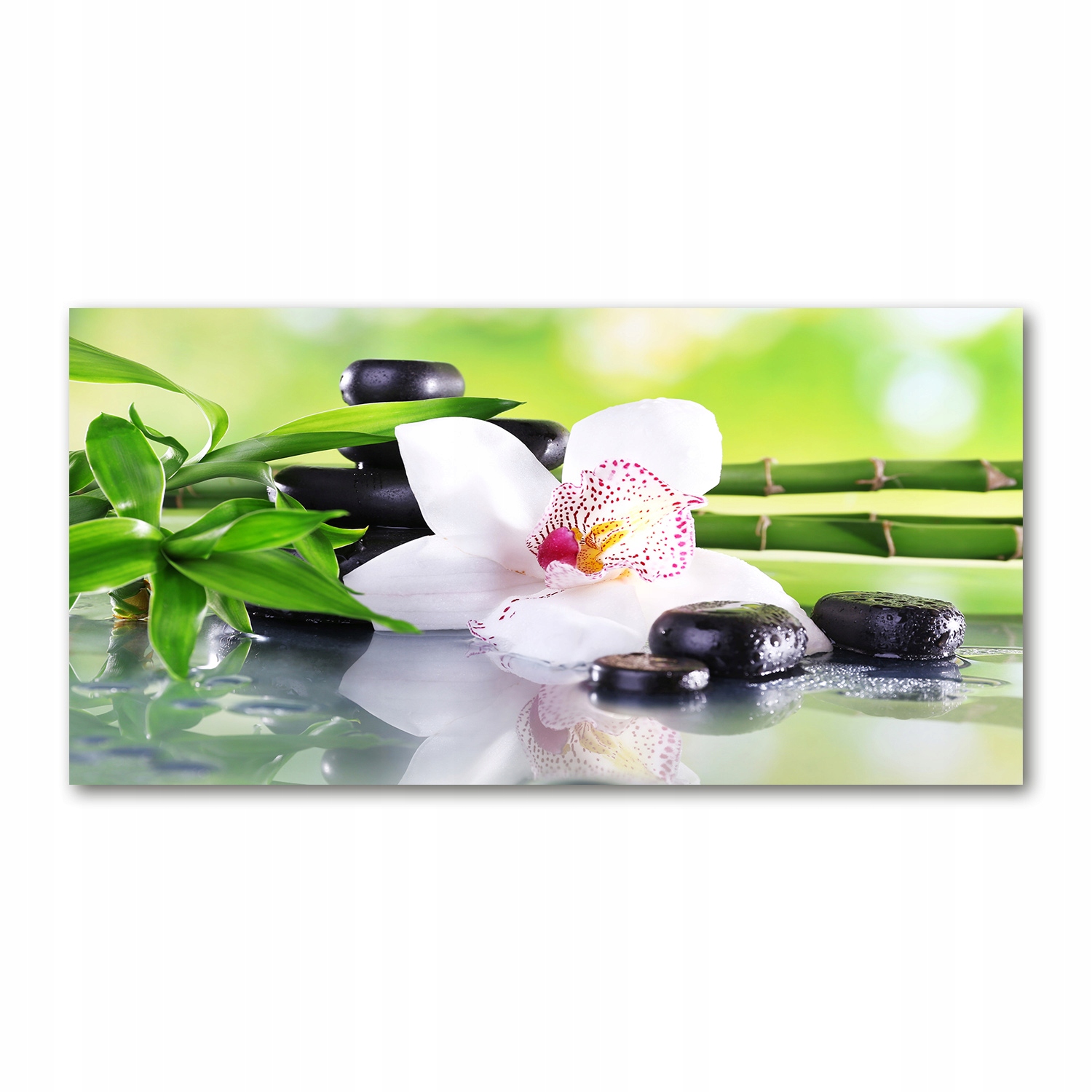 

Foto obraz szkło hartowane Orchidea 140x70
