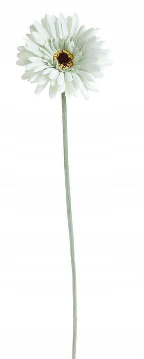 

Gerbera gałązka poj. kwiat sztuczny Miętowy 55 cm