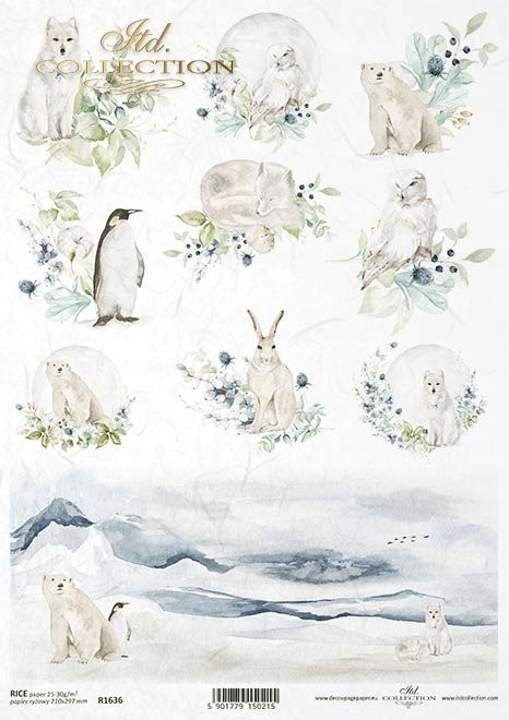 Papier ryżowy itd collection
