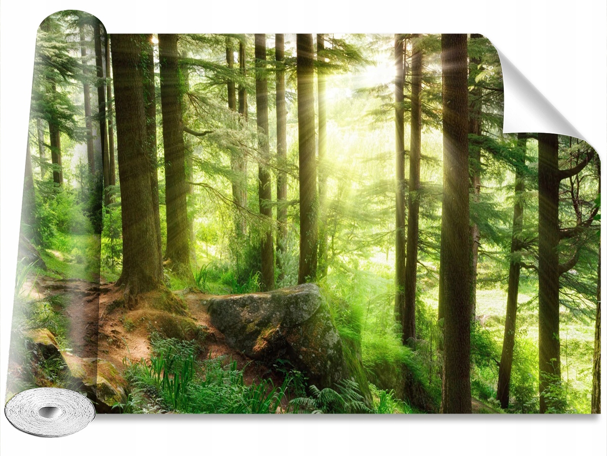 

Tapeta Samoprzylepna Mglisty las 416x254