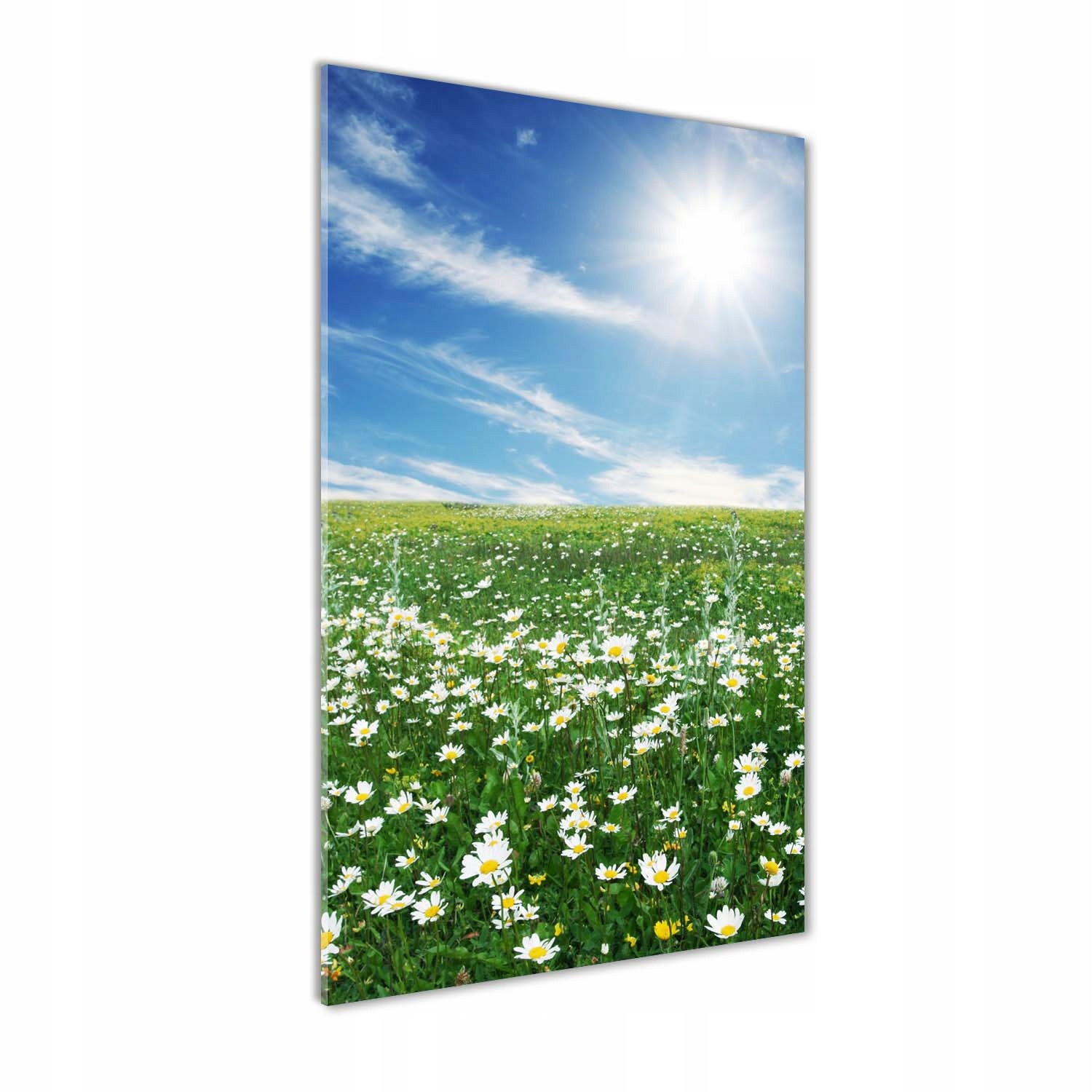 

Nowoczesny obraz zdjęcie na akrylu Łąka 60x120cm