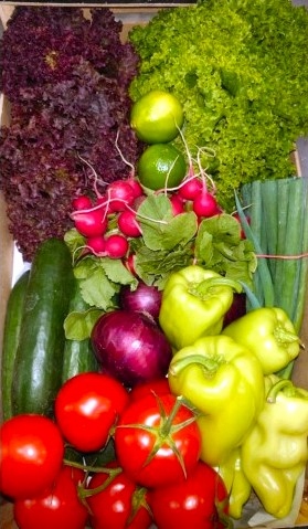 Levně Farma z Rohoznice Bedýnka Salátová