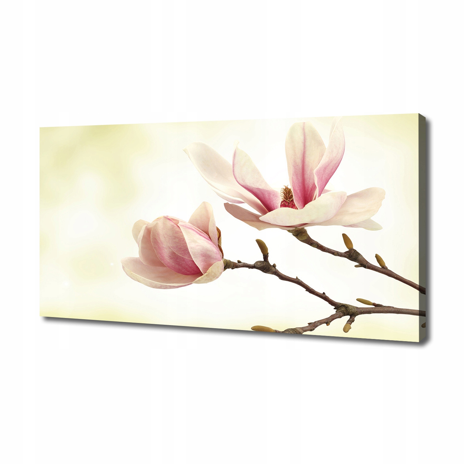 

Foto obraz canvas na ścianę Magnolia 140x70 cm