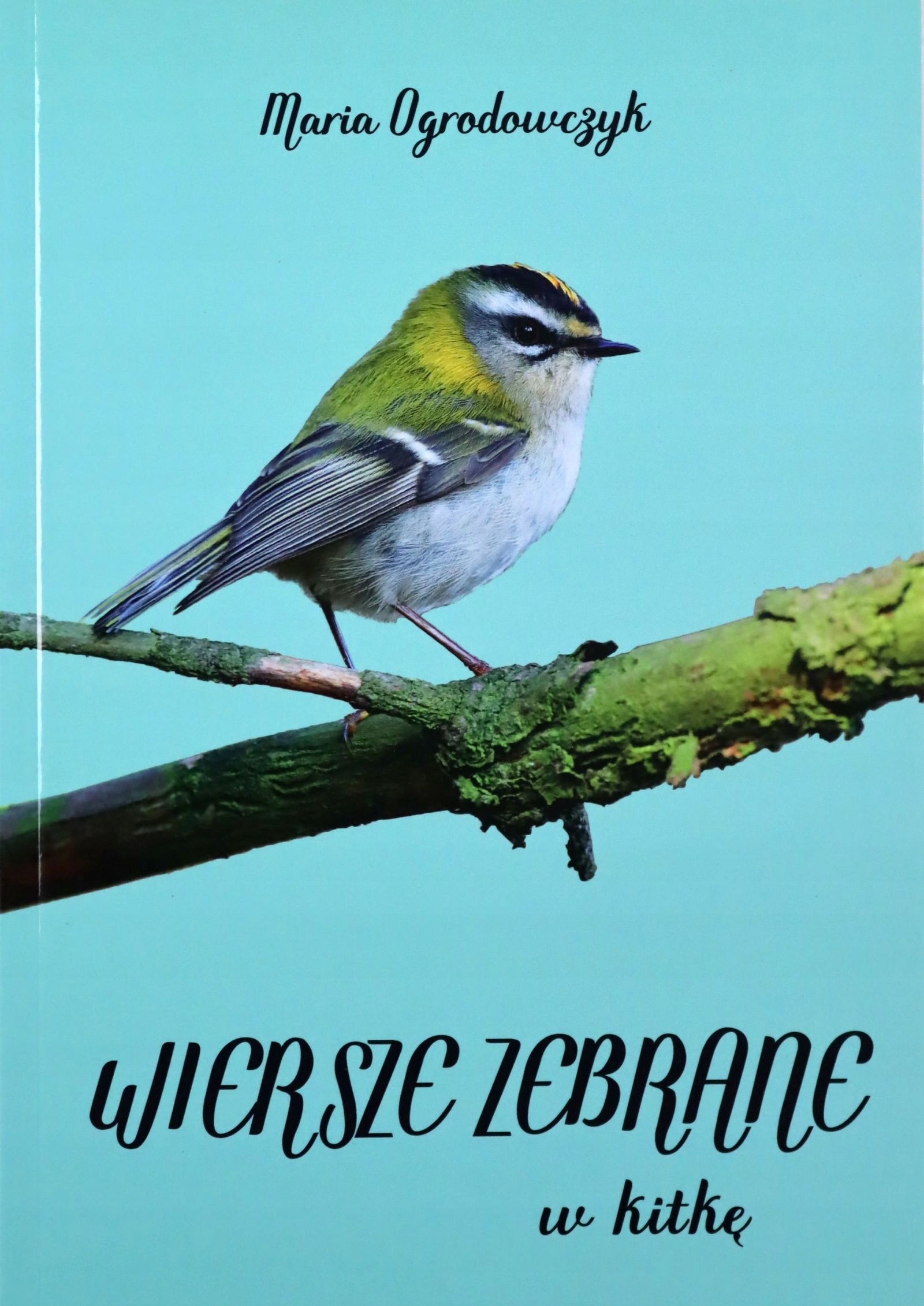 

Wiersze Zebrane W Kitkę Maria Ogrodowczyk (książ