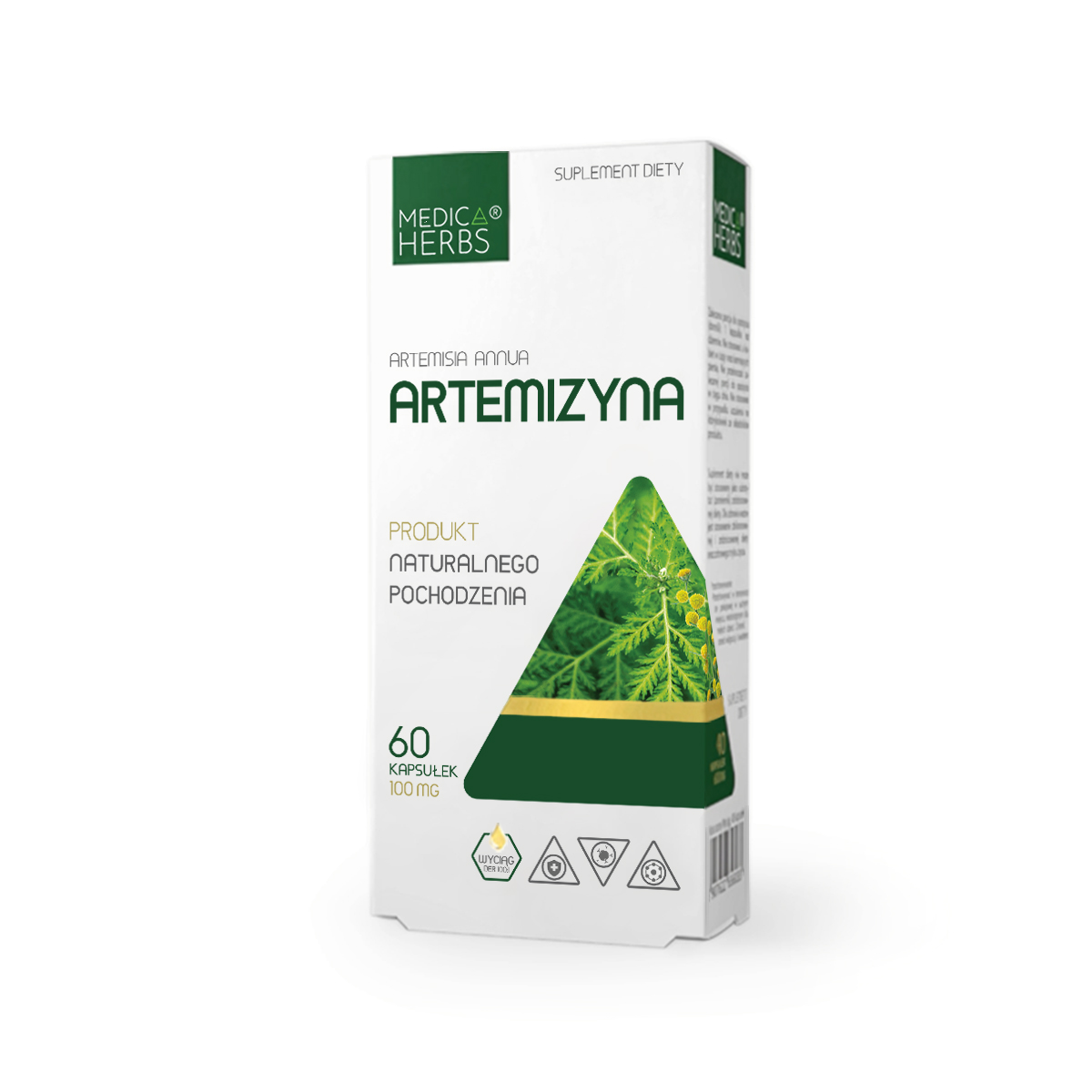 

Artemizyna artemisinin nowotwory Bylica Roczna