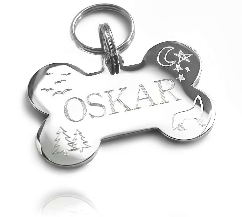 

Identyfikator dla psa Dwustronny kość kostka Stal
