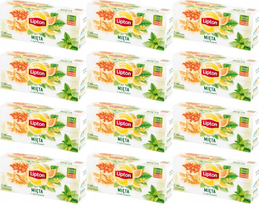 Herbata ziołowa Lipton mięta z cytrusami 240szt