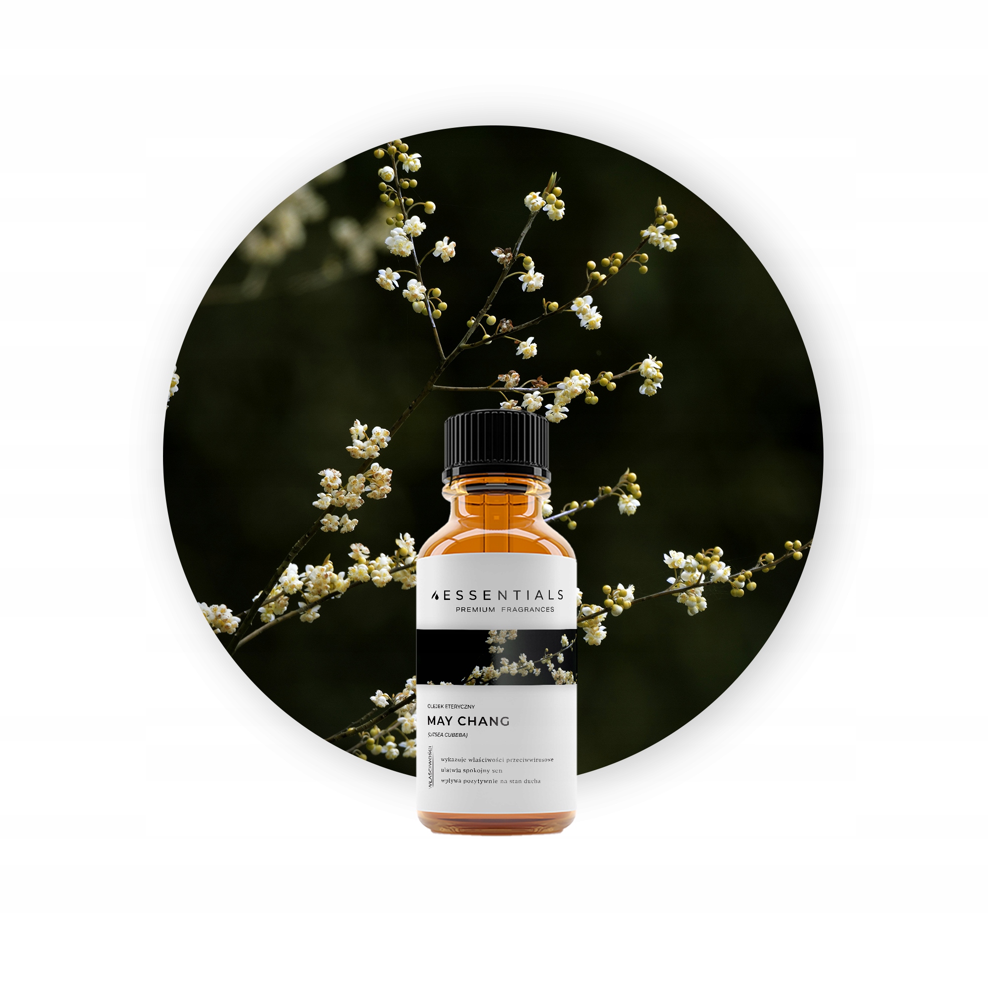 Olejek eteryczny May Chang (Litsea Cubeba) 50 ml