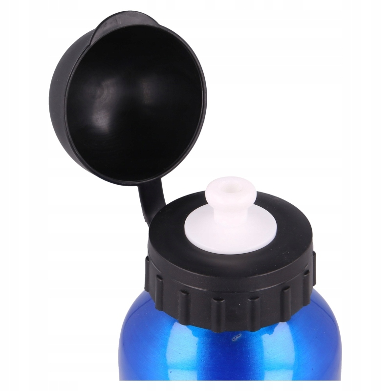 Harry+ Potter bidon aluminiowy 348 Płeć chłopcy