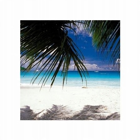 

Seychelles - biała plaża - reprodukcja 40x40 cm