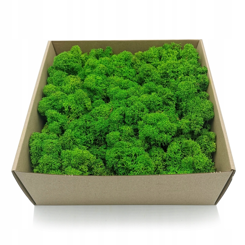

Mech chrobotek Alpejski 500g