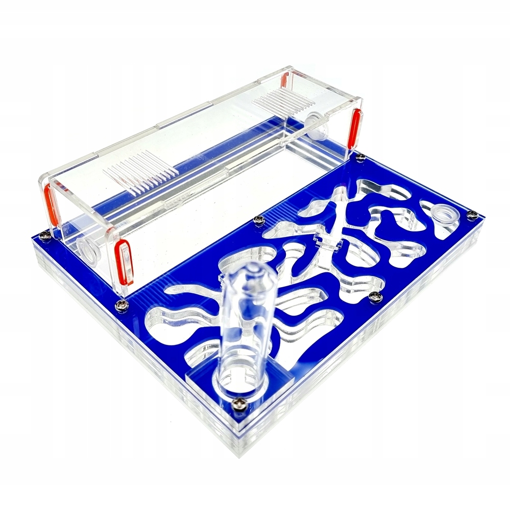 Formikarium Akrylowe L Niebieskie hodowla mrówki AntHunter