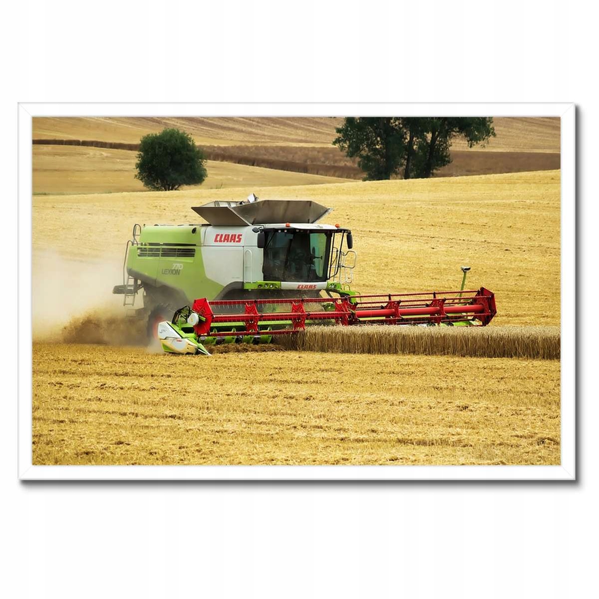 Plakáty v rámu 60x40 Kombajn Claas seká žně