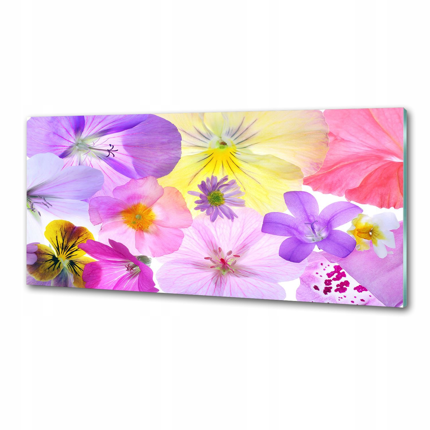 Sklenený panel do kuchyne Bratky 125 x 50 cm Lepidlo