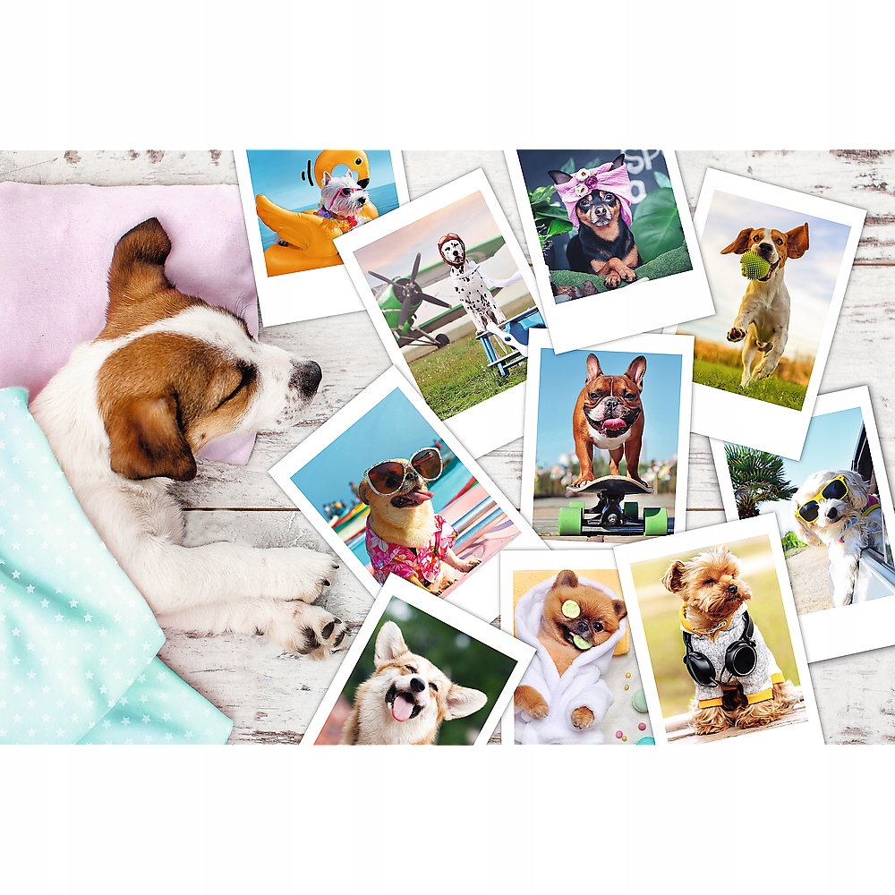 

Puzzle 300 Zwierzęta Psy Pieski Kolaż 8+ Trefl