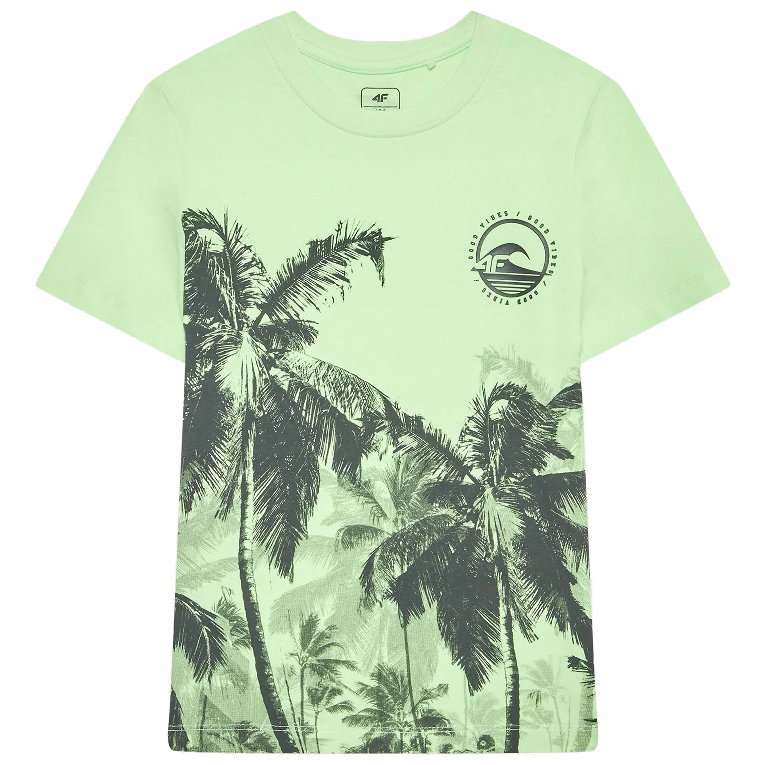 

T-shirt 4F Chłopięcy HJL22 JTSM013 R. 146