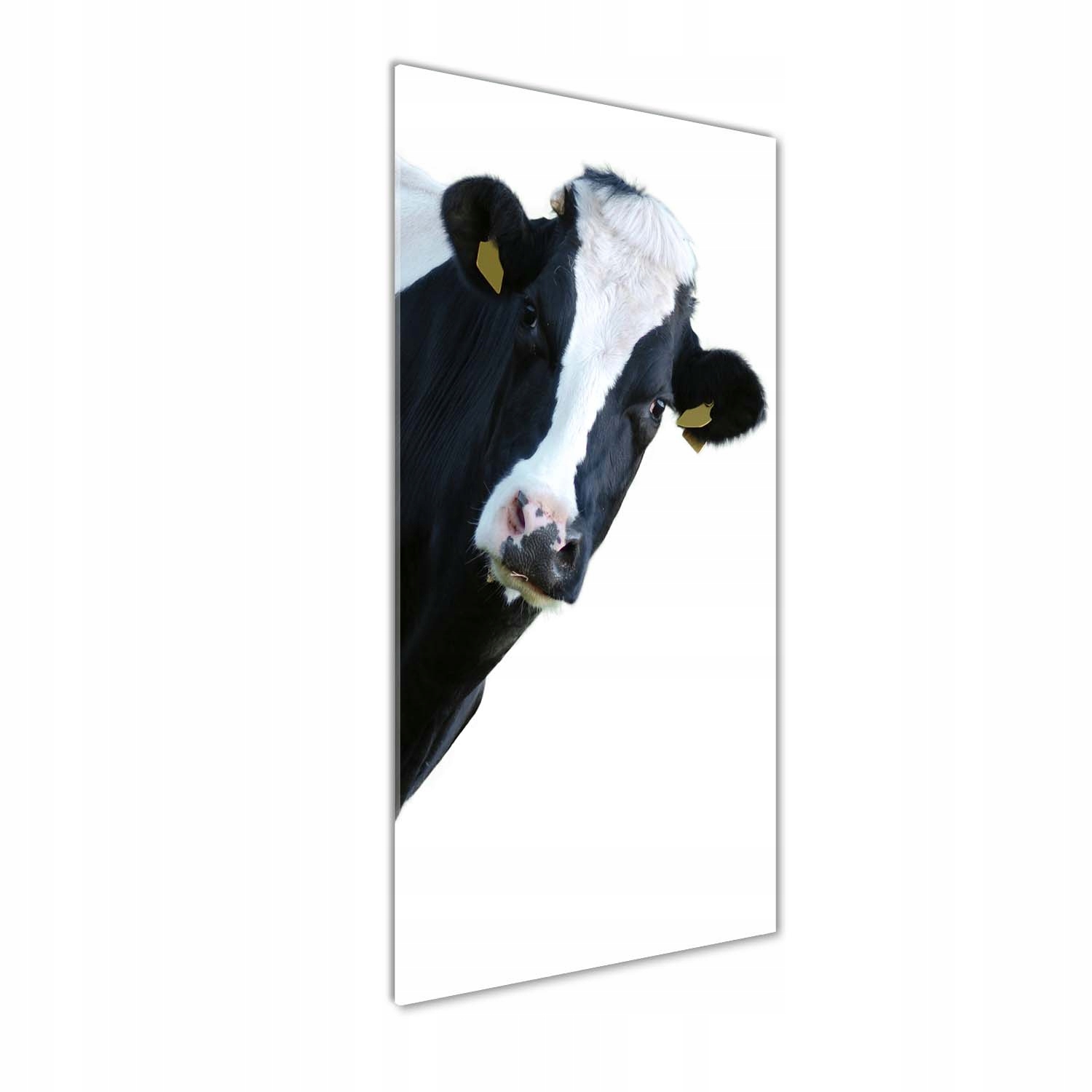 

Foto obraz akrylowy do salonu Łaciata krowa 50x125