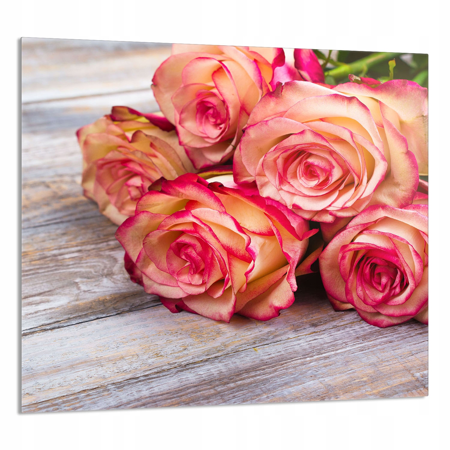 Skleněný Panel Do Kuchyně 65x60 Růže Tvrzené Sklo