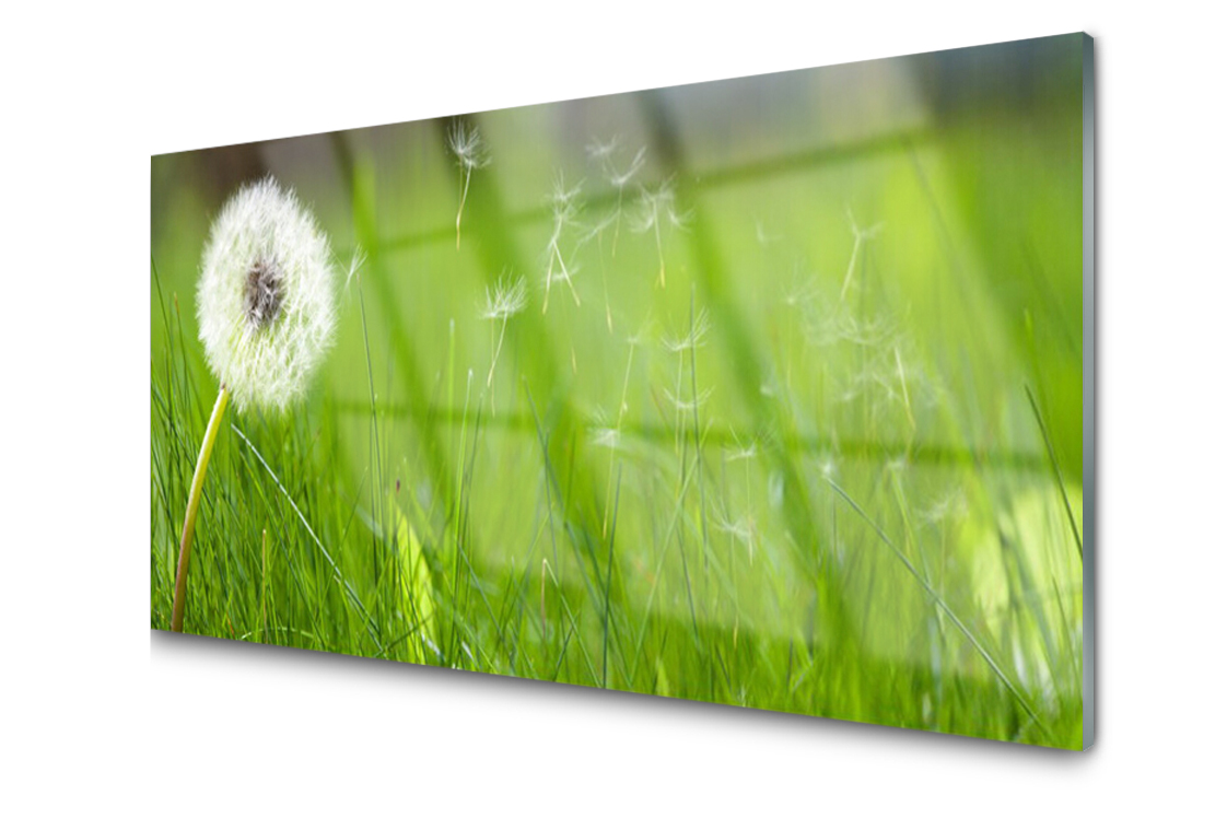 

Panel szklany dekoracyjny Dmuchawiec Trawa 100x50
