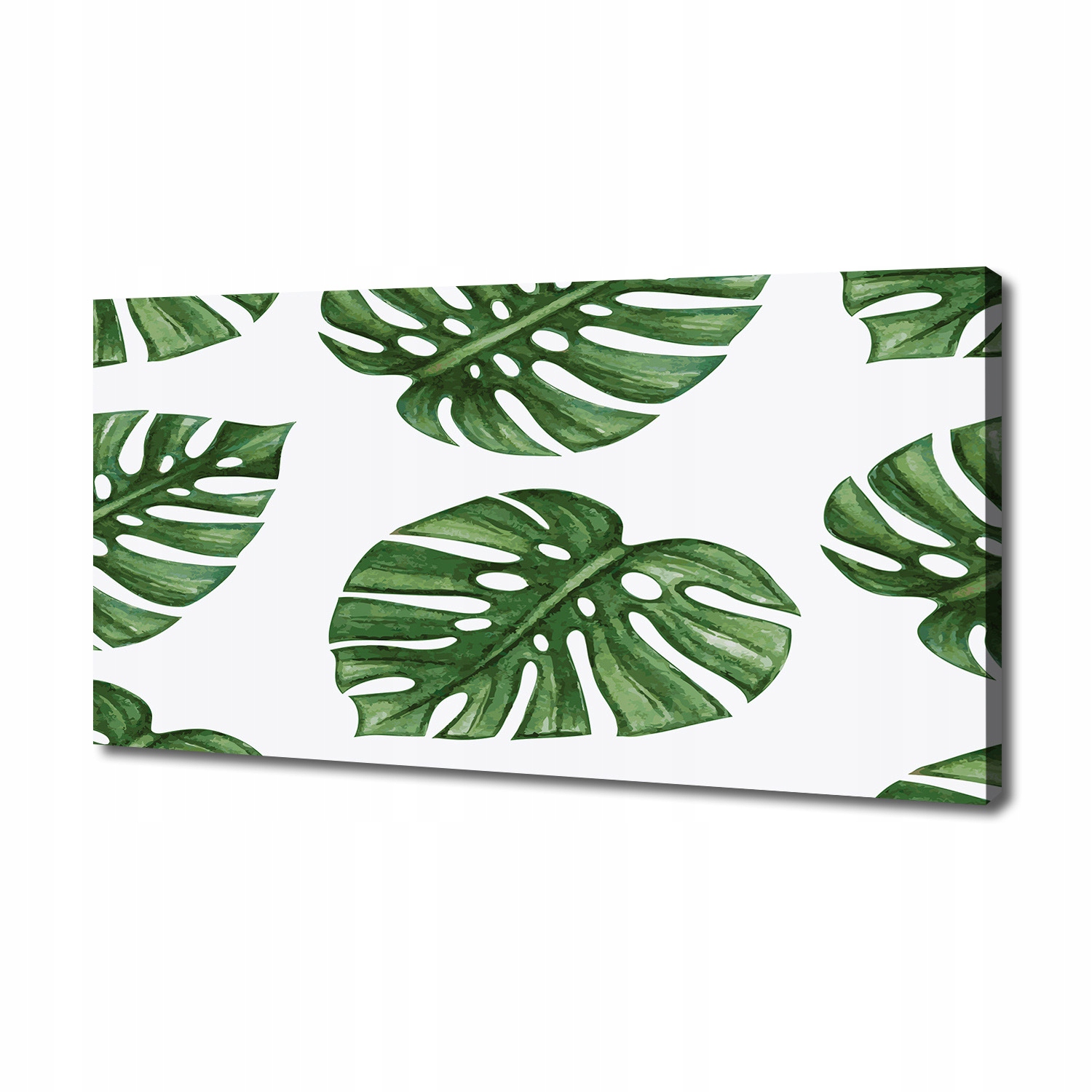 

Foto obraz canvas na ścianę Monstera 140x70 cm