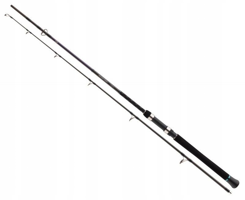 Wędka Daiwa Powermesh Catfish Spin 2,15m do 160g