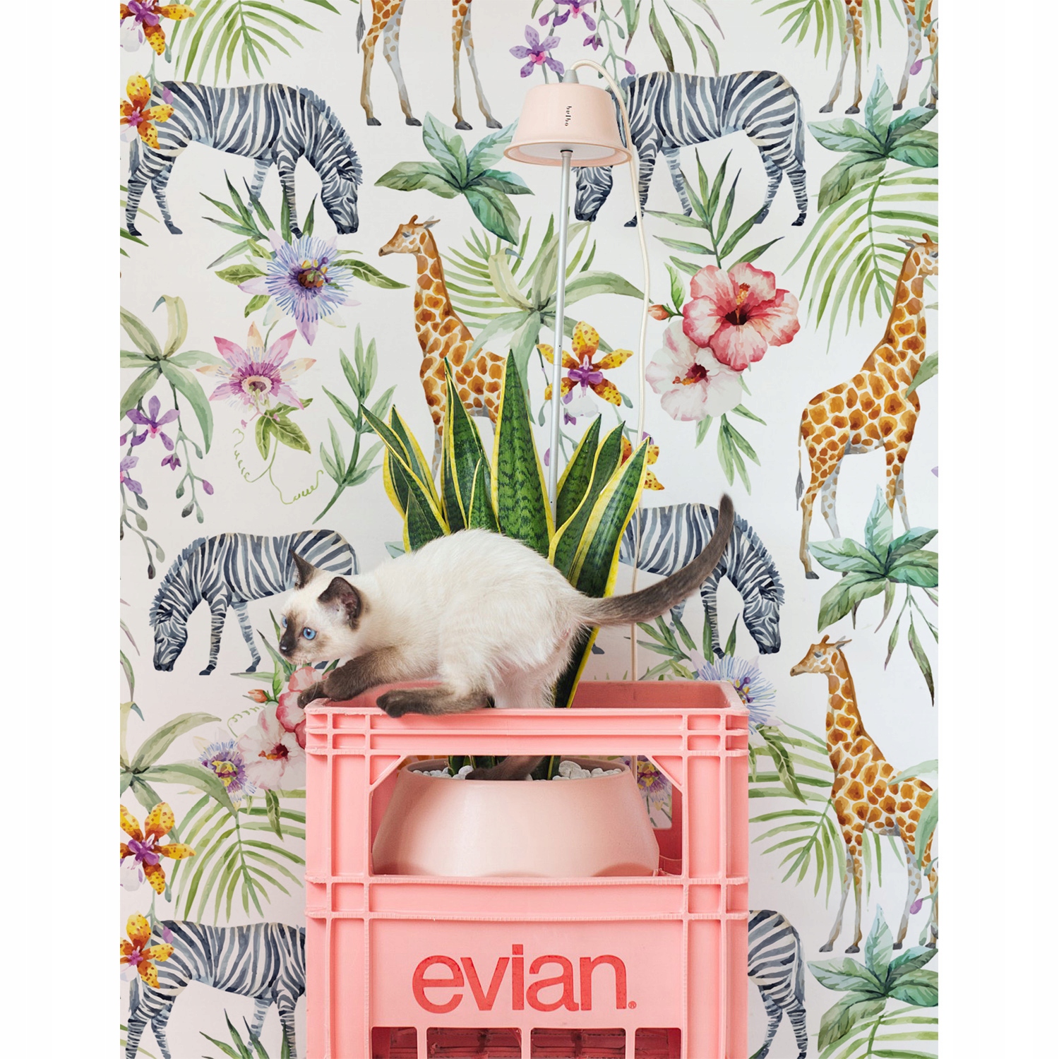 

Fototapeta ścienna Dziki rajski zakątek 152x104 cm