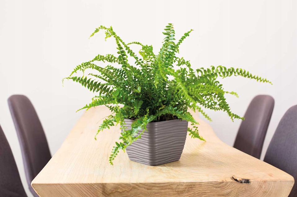 DONICZKA OSŁONKA SAHARA PETIT KWADRAT Z PODSTAWKĄ 19CM ANTRACYT Kod producenta 3640-014