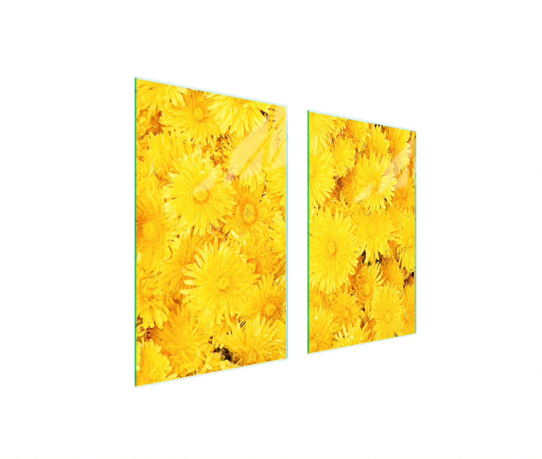 Skleněná ochranná deska na sporák 75x52 Květ kalený Indukce 7v1