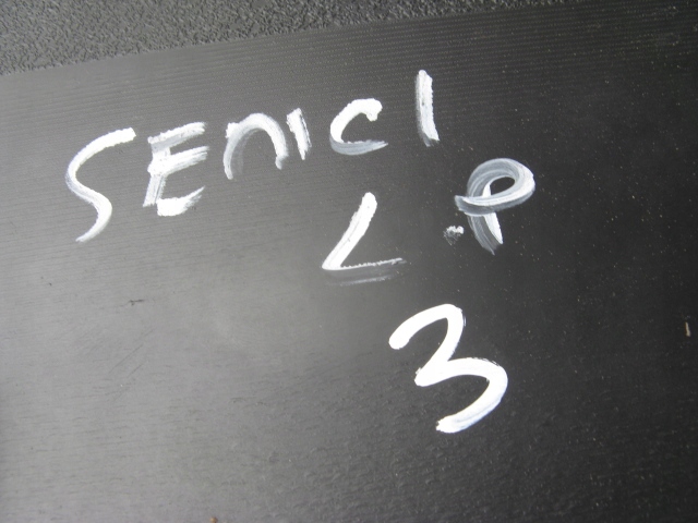 moulding door left front FIAT SEDICI