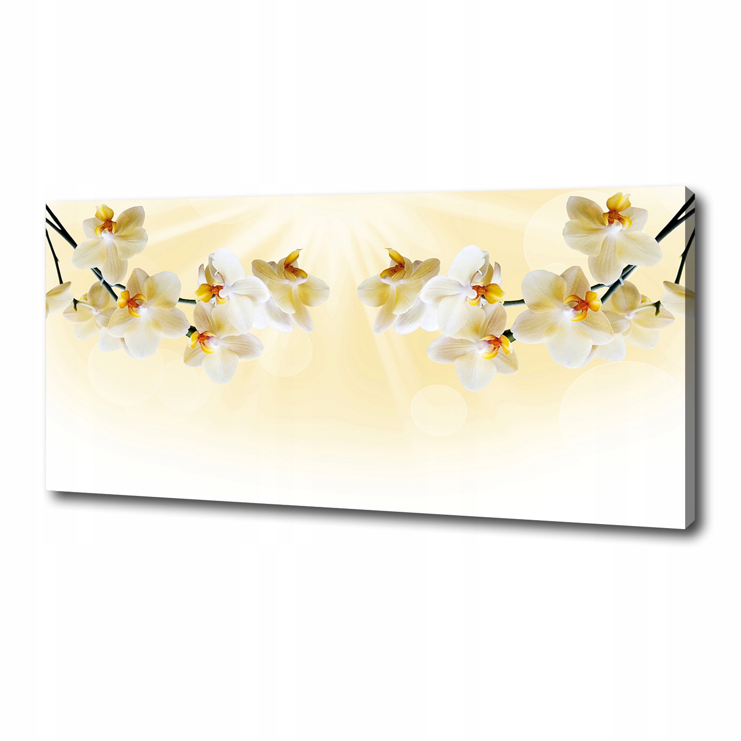 

Foto obraz canvas na ścianę Orchidea 125x50 cm