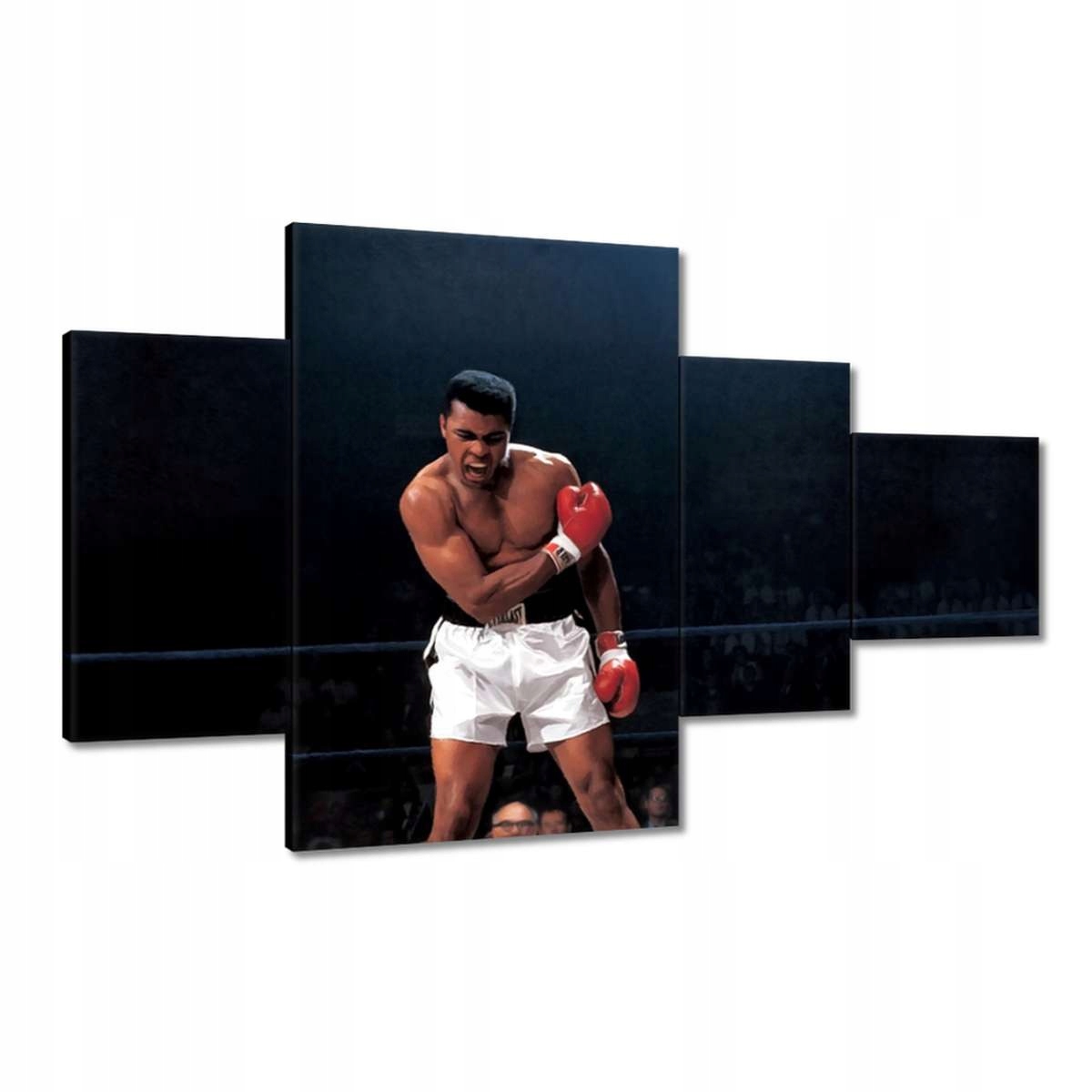 Obrazy 130x80 Muhhamad Ali Boxer Boj
