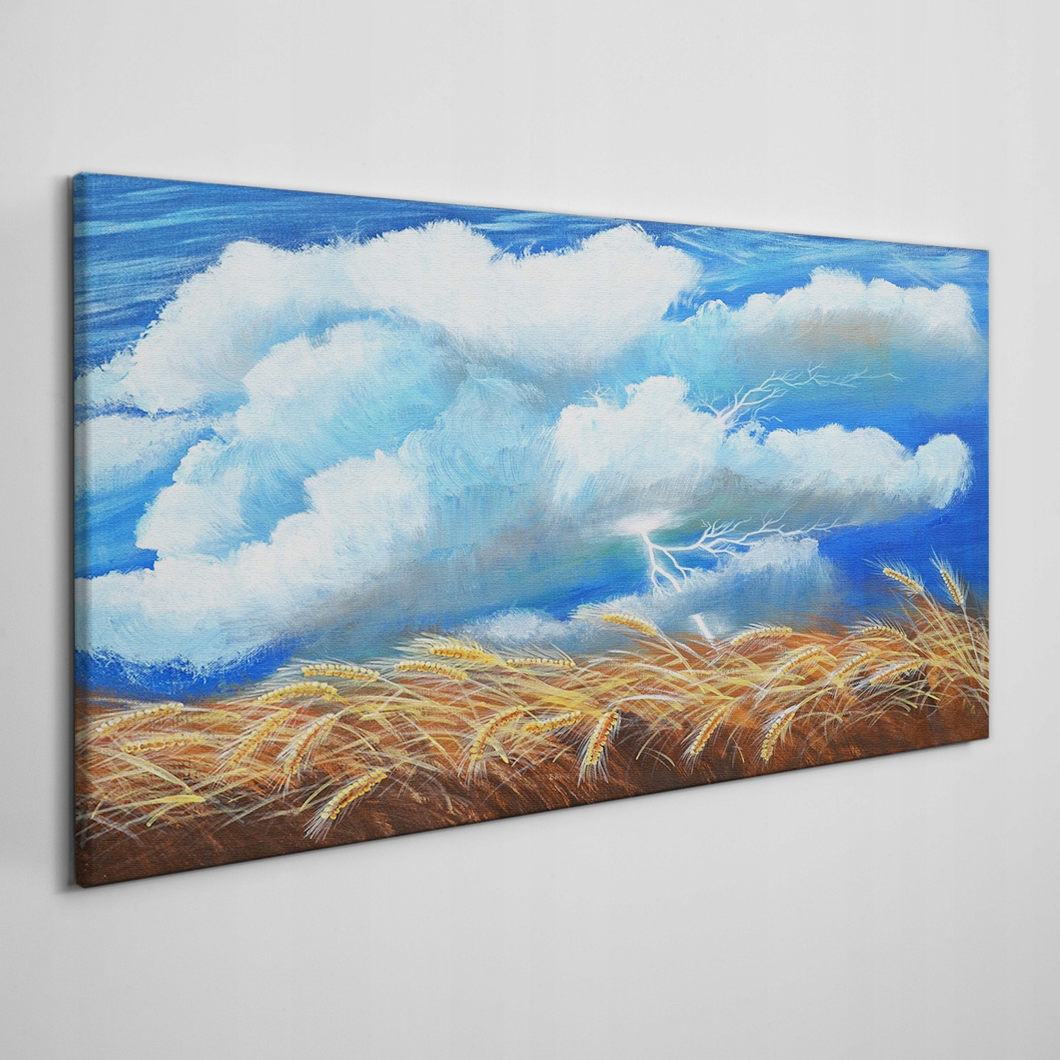 

Obraz na płótnie Pole niebo błyskawice 120x60 cm