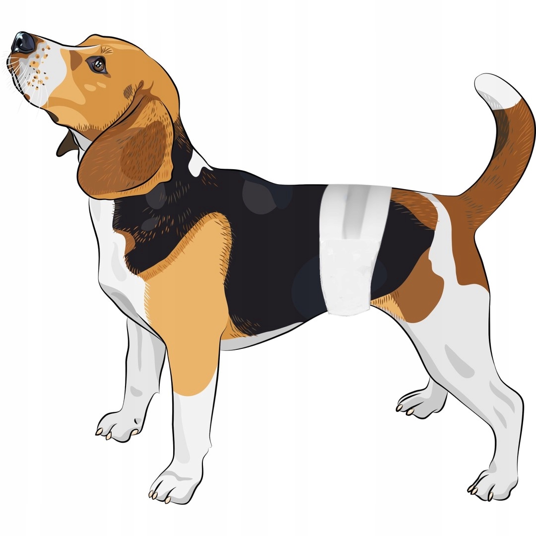 CEZAR Pampersy pieluchy dla psa samca M 12szt obwód brzucha 30-44cm EAN (GTIN) 5906874797174